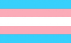 drapeau trans
