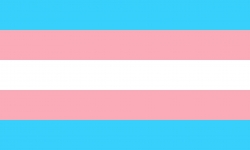 drapeau trans